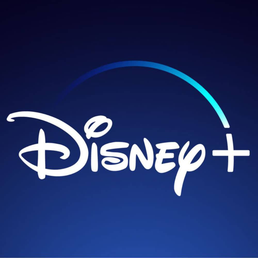Disney Plus et Netflix